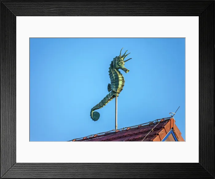 Framed Print : Seahorse figure on the roof of the Kurhaus in Zingst, Mecklenburg-Western Pomerania, Baltic Sea, Northern Germany, Germany Framed Print : Seahorse figure on the roof of the Kurhaus in Zingst, Mecklenburg-Western Pomerania, Baltic Sea, Northern Germany, Germany