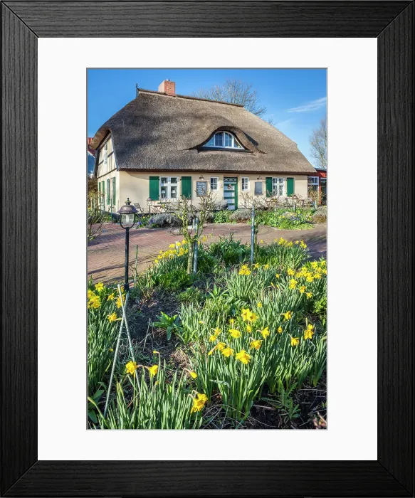 Framed Print : Cafe Rosengarten in historic thatched roof house in Zingst, Mecklenburg-West Pomerania, Baltic Sea, Northern Germany, Germany Framed Print : Cafe Rosengarten in historic thatched roof house in Zingst, Mecklenburg-West Pomerania, Baltic Sea, Northern Germany, Germany