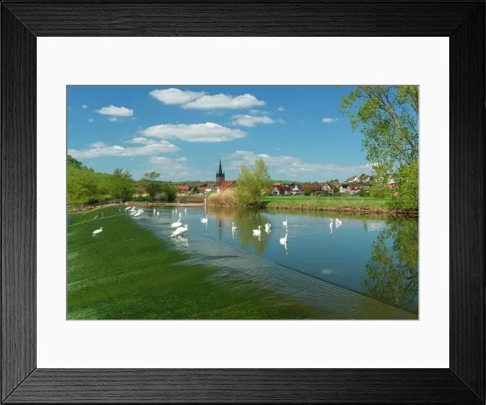 Framed Print : Village Falken in the Werra valley, with swans on the river Werra, Falken, Thuringia, Germany Framed Print : Village Falken in the Werra valley, with swans on the river Werra, Falken, Thuringia, Germany
