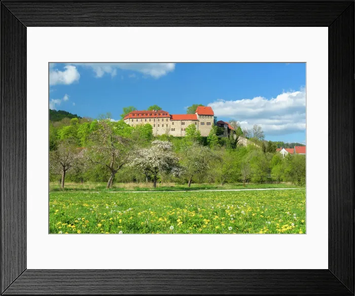 Framed Print : Creuzburg Castle in the Werra valley, in front of blooming orchard meadow, Creuzburg, Thuringia, Germany Framed Print : Creuzburg Castle in the Werra valley, in front of blooming orchard meadow, Creuzburg, Thuringia, Germany