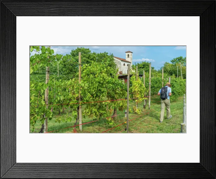 Framed Print : Italy, Veneto. Hiking in the Prosecco hills near to Valdobbiadene Framed Print : Italy, Veneto. Hiking in the Prosecco hills near to Valdobbiadene