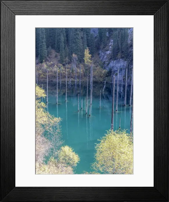 Framed Print : Kazakhstan, Kolsay lakes National park, lake Kaindy in the autumn Framed Print : Kazakhstan, Kolsay lakes National park, lake Kaindy in the autumn