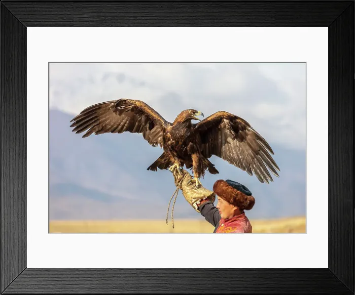 Framed Print : Kyrgyzstan, Issyk Kul Lake, golden eagle hunter Framed Print : Kyrgyzstan, Issyk Kul Lake, golden eagle hunter