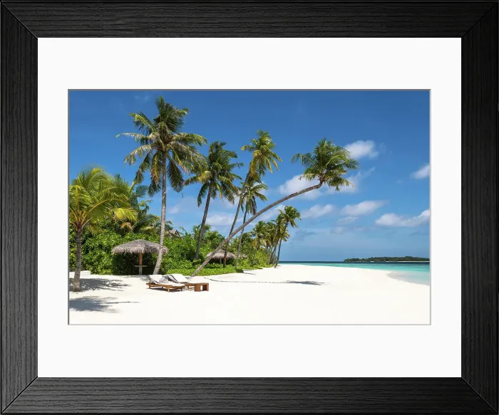 Framed Print : Gone for a swim, Baa Atoll, Maldives Framed Print : Gone for a swim, Baa Atoll, Maldives