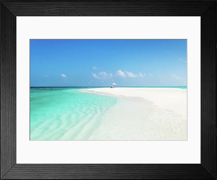 Framed Print : Birds and a parasol, on a sandbank in the Indian Ocean, Baa Atoll, Maldives Framed Print : Birds and a parasol, on a sandbank in the Indian Ocean, Baa Atoll, Maldives