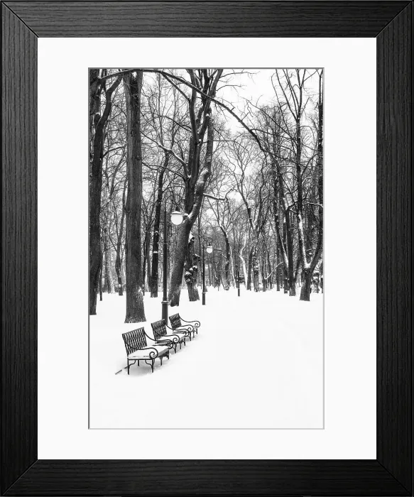 Framed Print : Winter in Mikhailovsky Garden (Mikhailovsky Sad), Saint Petersburg, Russia Framed Print : Winter in Mikhailovsky Garden (Mikhailovsky Sad), Saint Petersburg, Russia