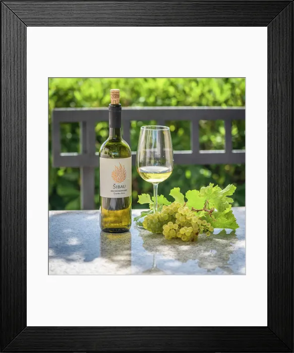 Framed Print : Slovenia, Brda. A tasting of the local wine in a beautiful landscape