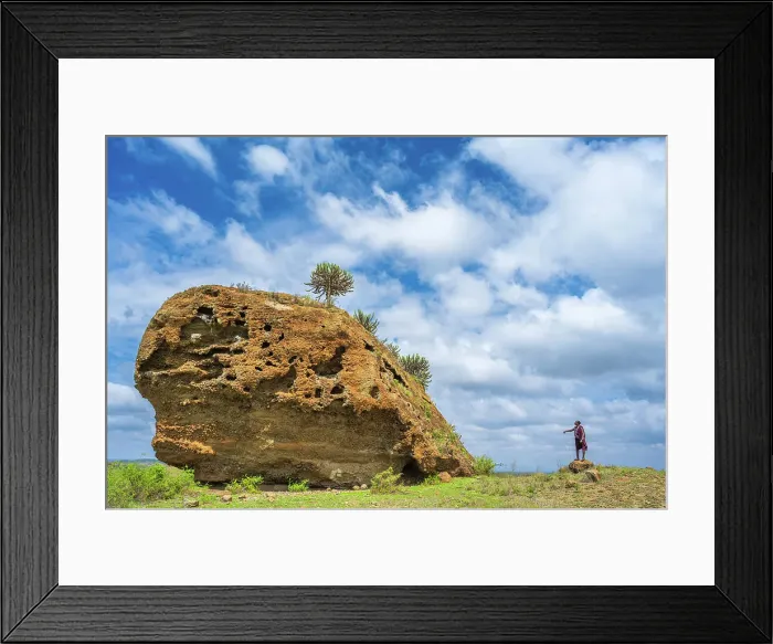 Framed Print : Africa, Tanzania, West Kilimanjaro. hiking with a Msai to a rock with Euphorbia Framed Print : Africa, Tanzania, West Kilimanjaro. hiking with a Msai to a rock with Euphorbia