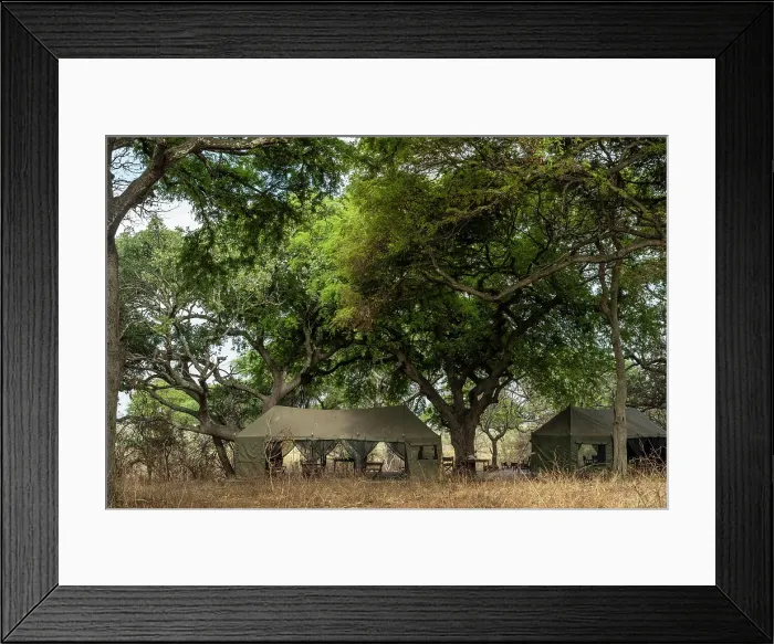 Framed Print : Africa, Tanzania, Katavi National Park. The dining tent of Nomad camp Framed Print : Africa, Tanzania, Katavi National Park. The dining tent of Nomad camp