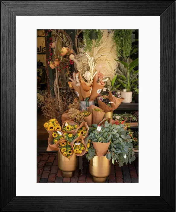 Framed Print : Beacon Hill, Boston, Massachusetts, USA