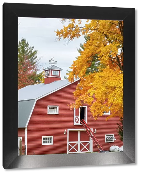 Red barn in fall, Maine, New England, USA