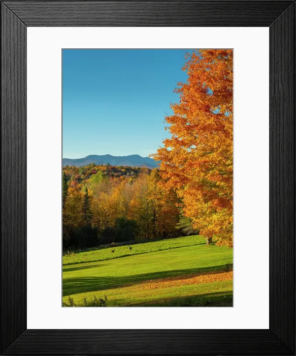 Framed Print : Vermont, USA Framed Print : Vermont, USA