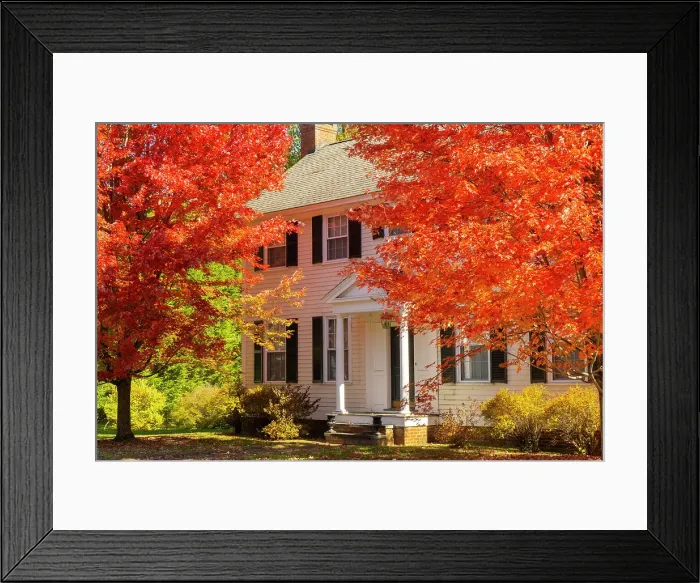 Framed Print : Maple tree and white house, Woodstock, Vermont, USA Framed Print : Maple tree and white house, Woodstock, Vermont, USA