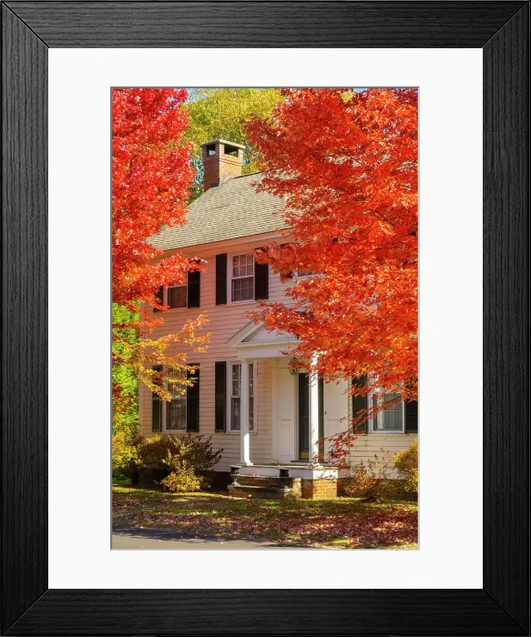 Framed Print : Maple tree and white house, Woodstock, Vermont, USA