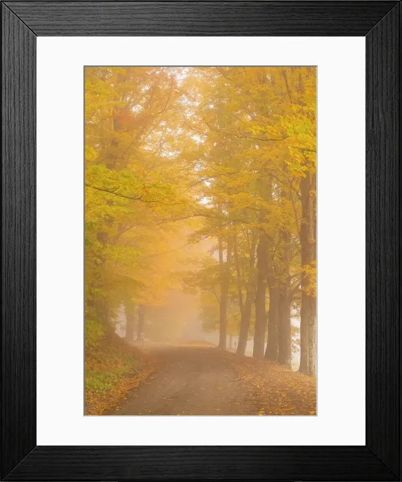 Framed Print : Fall foliage, Woodstock, Vermont, USA Framed Print : Fall foliage, Woodstock, Vermont, USA