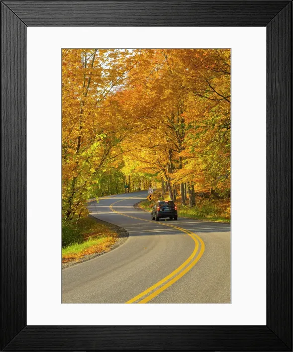 Framed Print : Road through fores in the fall, Woodstock, Vermont, USA