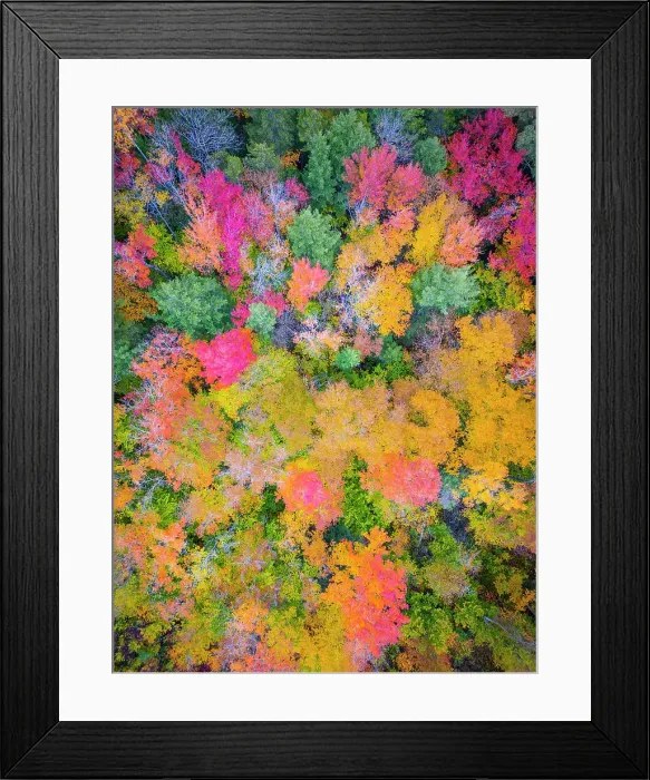 Framed Print : Overhead view of forest in the fall, Kancamagus Highway, New Hampshire, USA Framed Print : Overhead view of forest in the fall, Kancamagus Highway, New Hampshire, USA