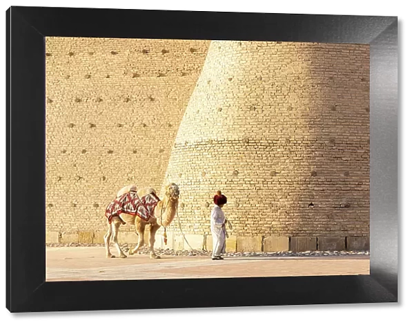 Uzbekistan, Bukhara, UNESCO world heritage site, Ark Fortress, a man leads a camel past the city walls