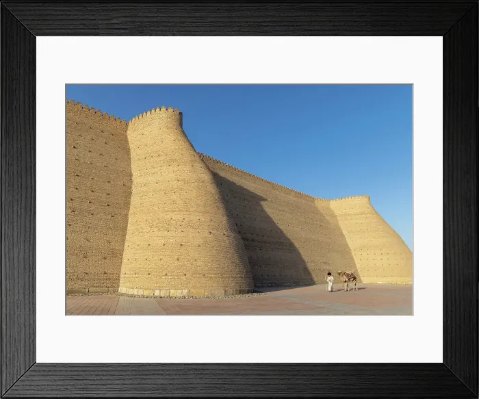 Framed Print : Uzbekistan, Bukhara, UNESCO world heritage site, Ark Fortress, a man leads a camel past the city walls Framed Print : Uzbekistan, Bukhara, UNESCO world heritage site, Ark Fortress, a man leads a camel past the city walls