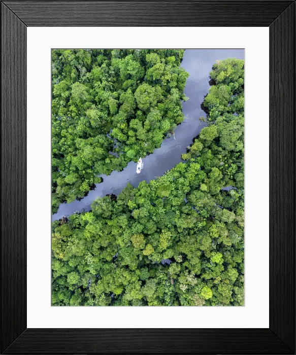 Framed Print : Brazil, Amazonas, Amazon rainforest, Anavilhanas Ecological Station & National Park, Aerial view of a river boat on the Rio Negro river in the Unesco World Heritage listed Central Amazon Conservation Complex Framed Print : Brazil, Amazonas, Amazon rainforest, Anavilhanas Ecological Station & National Park, Aerial view of a river boat on the Rio Negro river in the Unesco World Heritage listed Central Amazon Conservation Complex