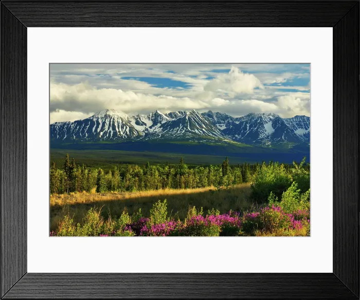 Framed Print : St. Elias Mountains, a subgroup of the Pacific Coast Ranges from Haines Junction Yukon, Canada Framed Print : St. Elias Mountains, a subgroup of the Pacific Coast Ranges from Haines Junction Yukon, Canada