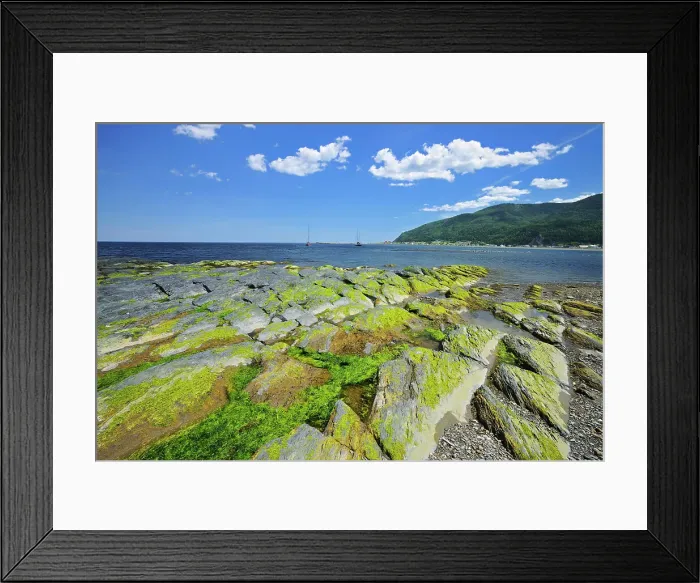 Framed Print : Rocky coastline along the Gulf of St. Lawrence Mont-Louis Quebec, Canada Framed Print : Rocky coastline along the Gulf of St. Lawrence Mont-Louis Quebec, Canada
