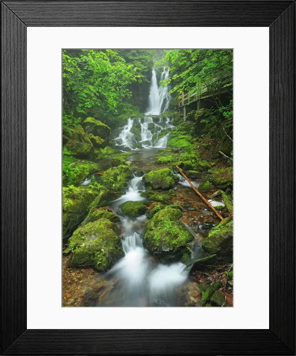 Framed Print : Dickson Creek at Dickson Falls Fundy Natinoal Park New Brunswick, Canada Framed Print : Dickson Creek at Dickson Falls Fundy Natinoal Park New Brunswick, Canada