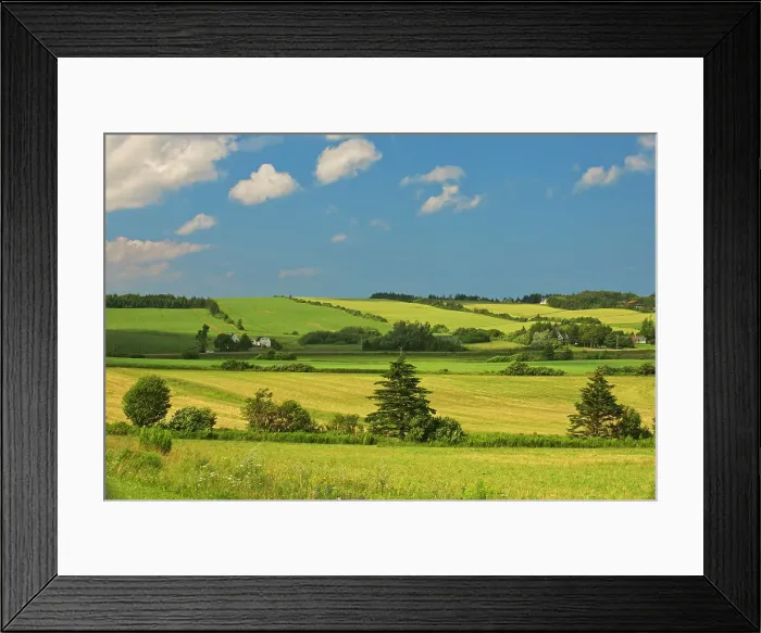 Framed Print : Rural landscape, French River, Prince Edward Island, Canada Framed Print : Rural landscape, French River, Prince Edward Island, Canada