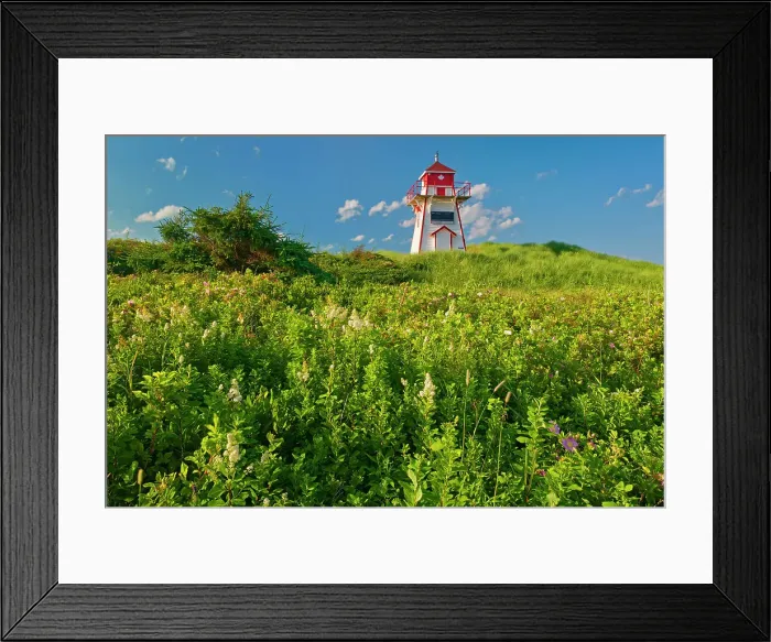 Framed Print : Lighthouse at Stanhope Beach. Covehead Harbour. Prince Edward Island National Park, Prince Edward Island, Canada