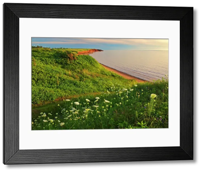 Framed Print : Red sand and bluffs along the Northumberland Strait Campbelton Prince Edward Island, Canada Framed Print : Red sand and bluffs along the Northumberland Strait Campbelton Prince Edward Island, Canada