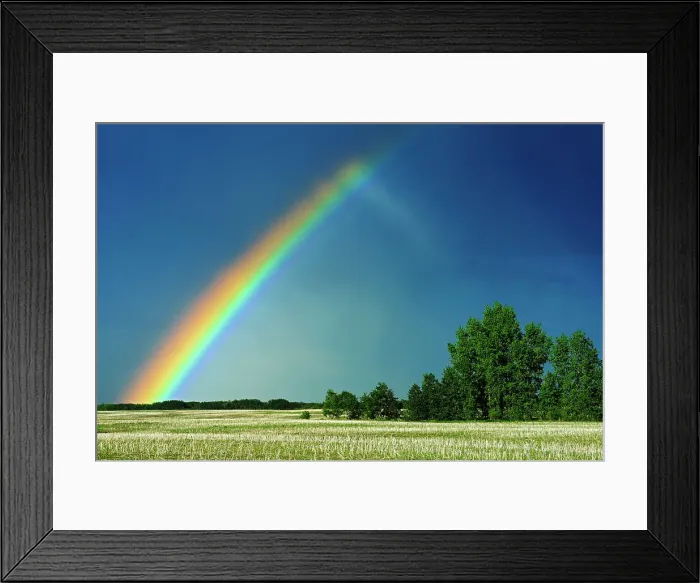 Framed Print : Rainbow and shelterbelt trees Wroxton Saskatchewan, Canada