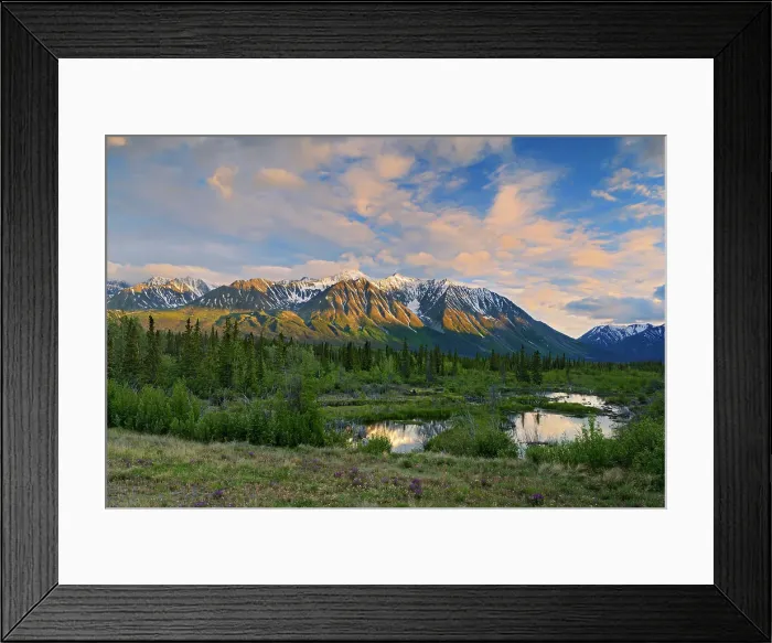 Framed Print : St. Elias Mountains near Haines Junction Yukon, Canada Framed Print : St. Elias Mountains near Haines Junction Yukon, Canada