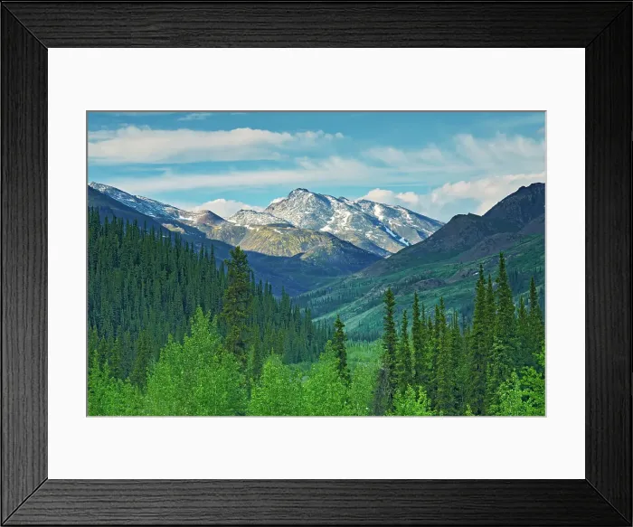 Framed Print : Landscape along the Dempster Highway, Dempster Highway, Yukon, Canada Framed Print : Landscape along the Dempster Highway, Dempster Highway, Yukon, Canada