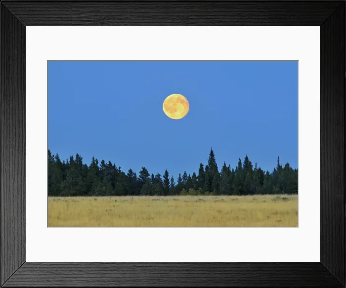 Framed Print : Harvest moon on the prairie Cypress Hills Provincial Park Saskatchewan, Canada Framed Print : Harvest moon on the prairie Cypress Hills Provincial Park Saskatchewan, Canada