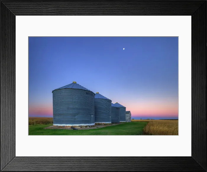 Framed Print : Grain bins at dawn with moon near Swift Current Saskatchewan, Canada