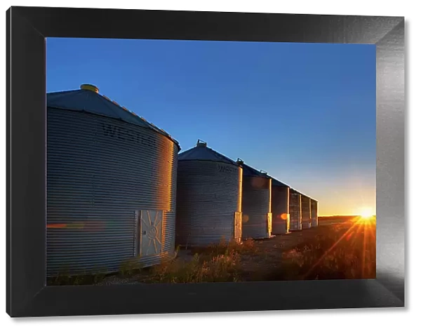 Grain bins at sunrise near Swift Current Saskatchewan, Canada