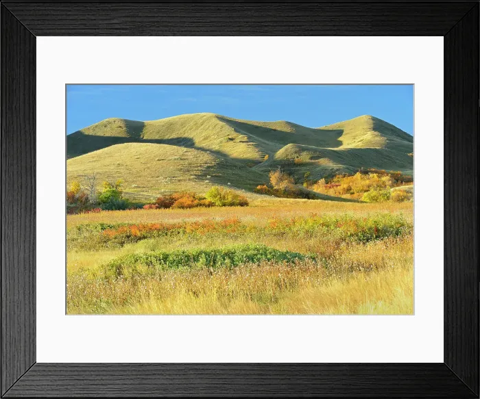 Framed Print : Hills in autumn Saskatchewan Landing Provincial Park Saskatchewan, Canada