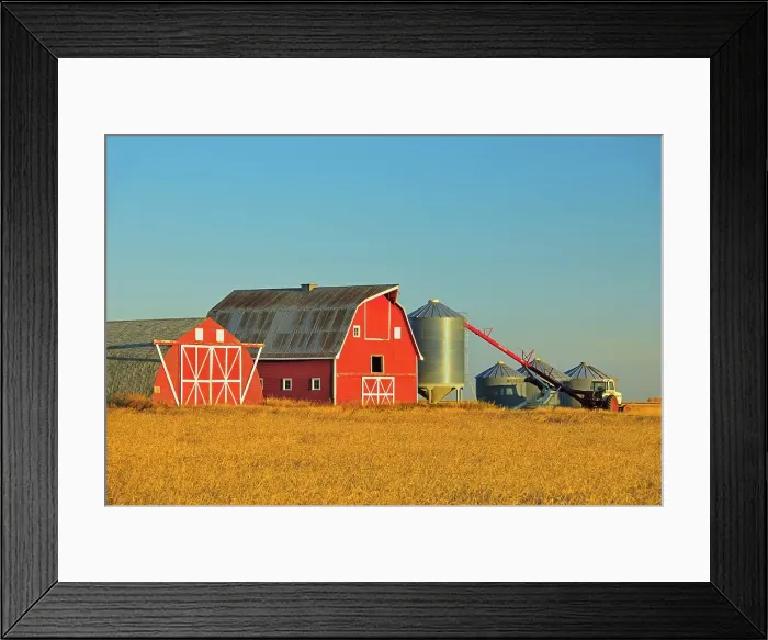 Framed Print : Red barn, grain bins and auger at sunrise near Moose Jaw Saskatchewan, Canada