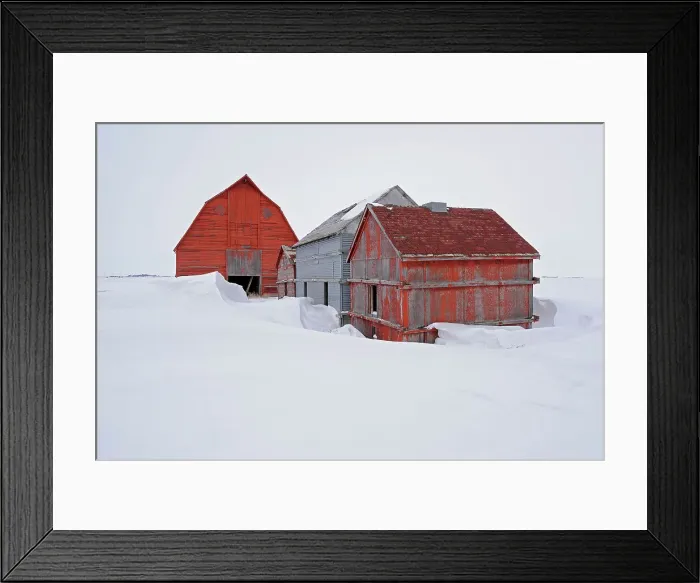 Framed Print : Old farmstead Rowatt Saskatchewan, Canada Framed Print : Old farmstead Rowatt Saskatchewan, Canada