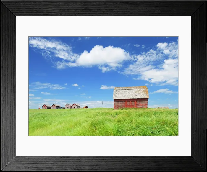 Framed Print : Wooden graneries and clouds Hazenmore Saskatchewan, Canada Framed Print : Wooden graneries and clouds Hazenmore Saskatchewan, Canada
