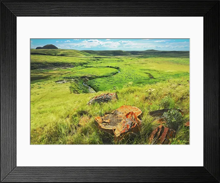 Framed Print : Sandstone rocks on prairie in the Killdeer Badlands. East Block. Grasslands National Park Saskatchewan, Canada Framed Print : Sandstone rocks on prairie in the Killdeer Badlands. East Block. Grasslands National Park Saskatchewan, Canada