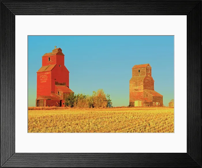 Framed Print : Grain elevators in ghost town Lepine Saskatchewan, Canada Framed Print : Grain elevators in ghost town Lepine Saskatchewan, Canada