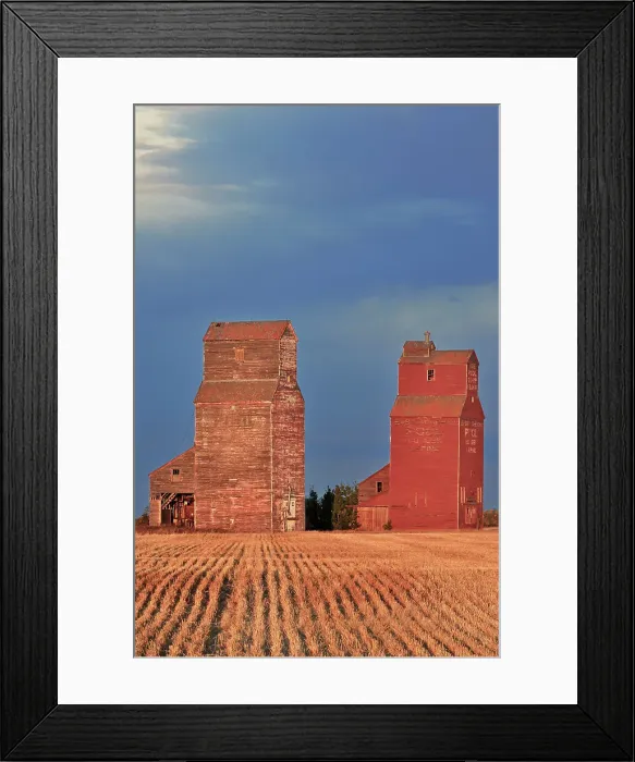 Framed Print : Grain elevators at sunrise Lepine Saskatchewan, Canada Framed Print : Grain elevators at sunrise Lepine Saskatchewan, Canada