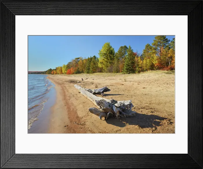 Framed Print : Driftwood on sandy shoreline of Lake Superior Batchawana Bay Provincial Park Ontario, Canada Framed Print : Driftwood on sandy shoreline of Lake Superior Batchawana Bay Provincial Park Ontario, Canada