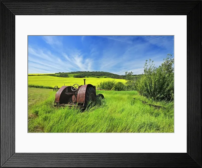 Framed Print : Old farm equipment (tractor) and canola crop on farmland Baljennie Saskatchewan, Canada Framed Print : Old farm equipment (tractor) and canola crop on farmland Baljennie Saskatchewan, Canada