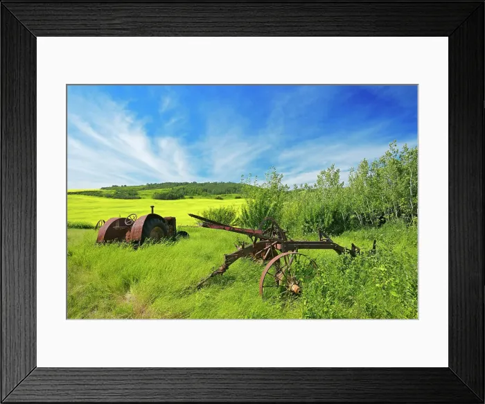Framed Print : Old farm equipment (tractor and cultivator) and canola crop on farmland Baljennie Saskatchewan, Canada Framed Print : Old farm equipment (tractor and cultivator) and canola crop on farmland Baljennie Saskatchewan, Canada