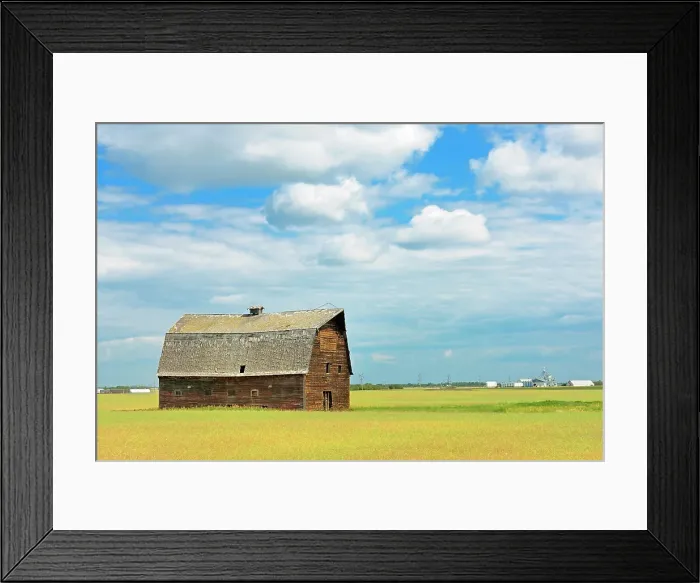 Framed Print : Old barn and canola crop Rycroft Alberta, Canada Framed Print : Old barn and canola crop Rycroft Alberta, Canada