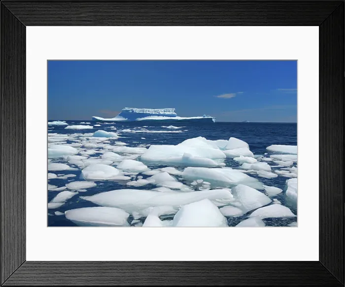 Framed Print : Icebergs floating in the Atlantic Ocean Near St. Anthony Newfoundland & Labrador, Canada Framed Print : Icebergs floating in the Atlantic Ocean Near St. Anthony Newfoundland & Labrador, Canada