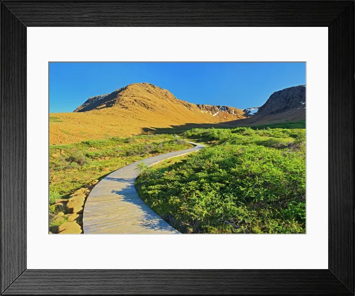 Framed Print : Boardwalk on trail at the Tablelands at sunset. Earth's mantle exposed. Gros Morne National Park Newfoundland & Labrador, Canada Framed Print : Boardwalk on trail at the Tablelands at sunset. Earth's mantle exposed. Gros Morne National Park Newfoundland & Labrador, Canada