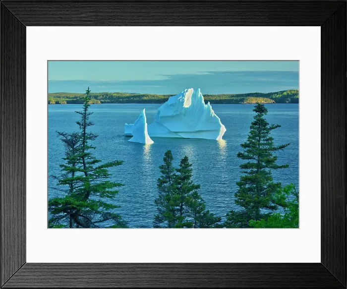 Framed Print : Iceberg in Bonavista Bay, Eastport, Newfoundland & Labrador, Canada Framed Print : Iceberg in Bonavista Bay, Eastport, Newfoundland & Labrador, Canada
